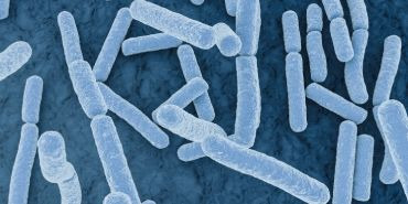 Dysbiose : causes et conséquences d'un déséquilibre du microbiote